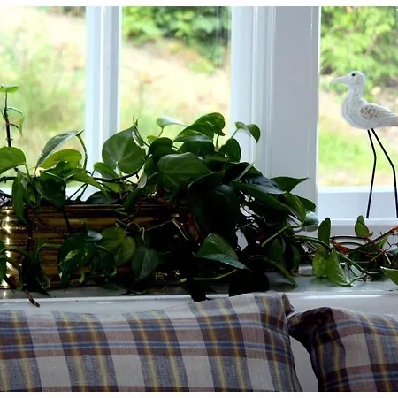 Ludwinia Bed & Breakfast 3*