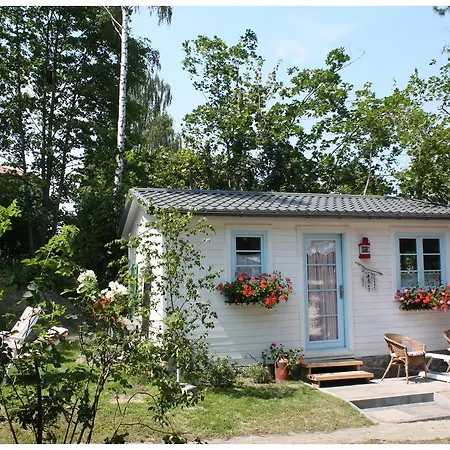 B&B Ludwinia