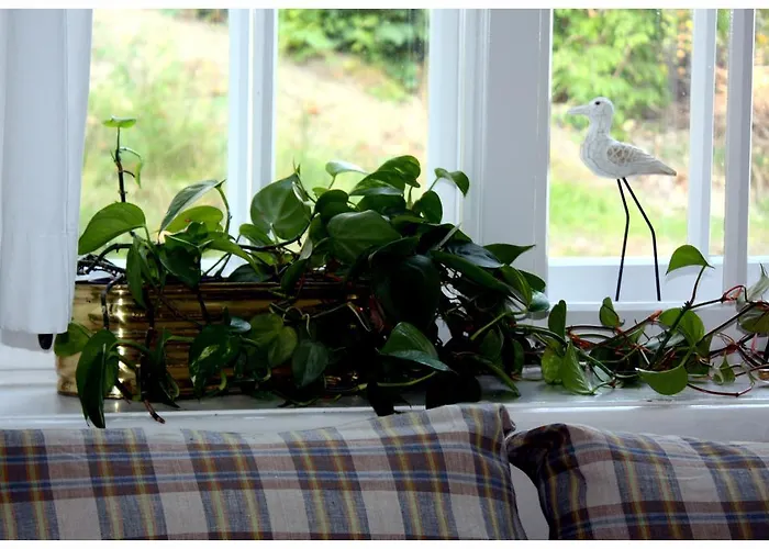 Ludwinia فندق مبيت وإفطار 3*